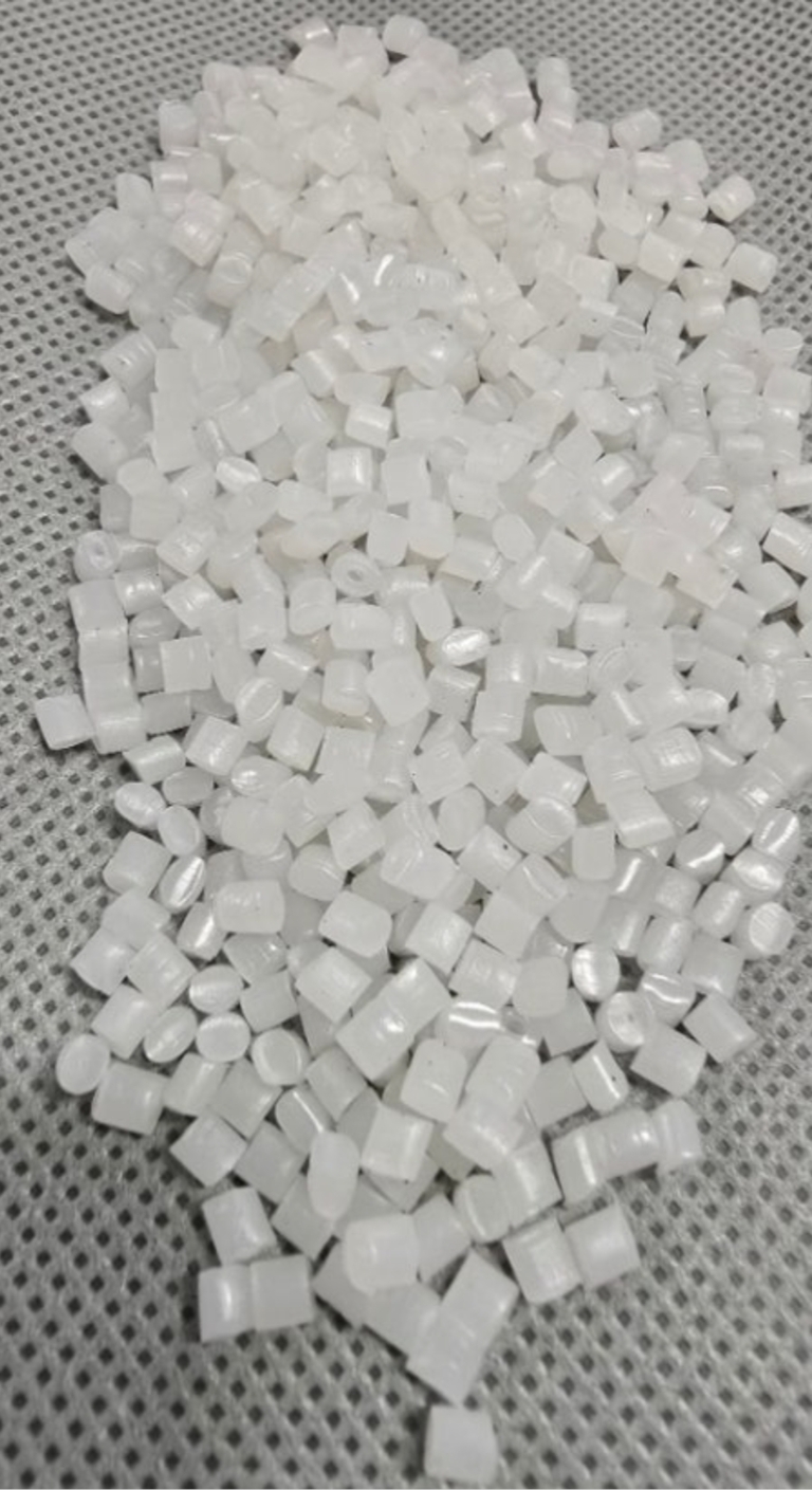 KakaoTalk_20260223_140306211_10