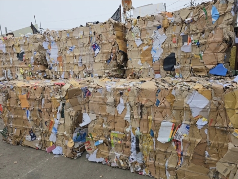 KakaoTalk_20260226_192250597